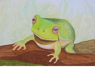 Laubfrosch