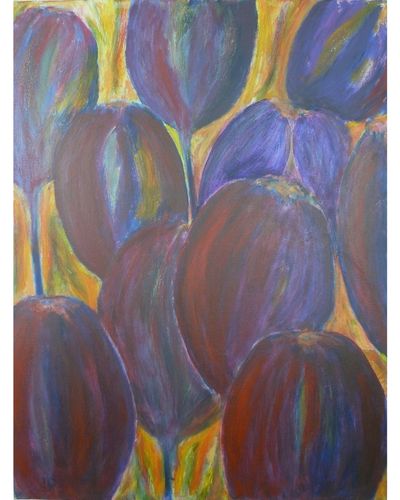 Tulip Field