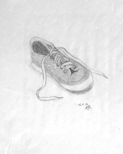 The shoe