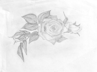The Rose